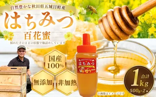 秋田県五城目町産 はちみつ ( 百花蜜 ) 500g × 2個 純粋はちみつ 非加熱 食品添加物不使用 国産 ハニー 【 2027年1月上旬まで発送予定 】