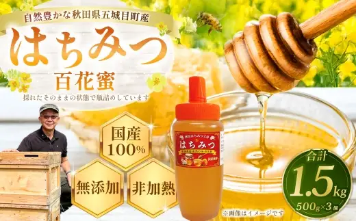 秋田県五城目町産 はちみつ ( 百花蜜 ) 500g × 3個 純粋はちみつ 非加熱 食品添加物不使用 国産 ハニー 【 2027年1月上旬まで発送予定 】