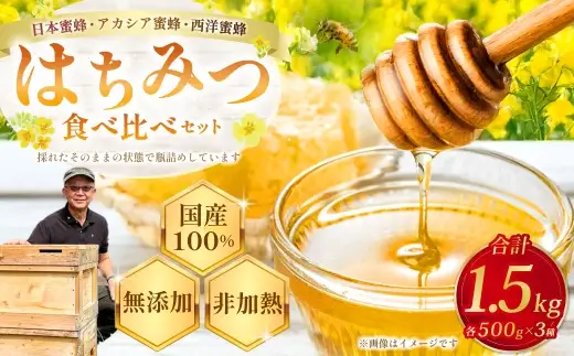 食べ比べ蜂蜜セット ( 日本蜜蜂の百花蜜、 西洋蜜蜂百花蜜、 アカシア蜂蜜 ) 純粋はちみつ 国産 詰め合わせ 希少 ハニー 【 2027年1月上旬まで発送予定 】