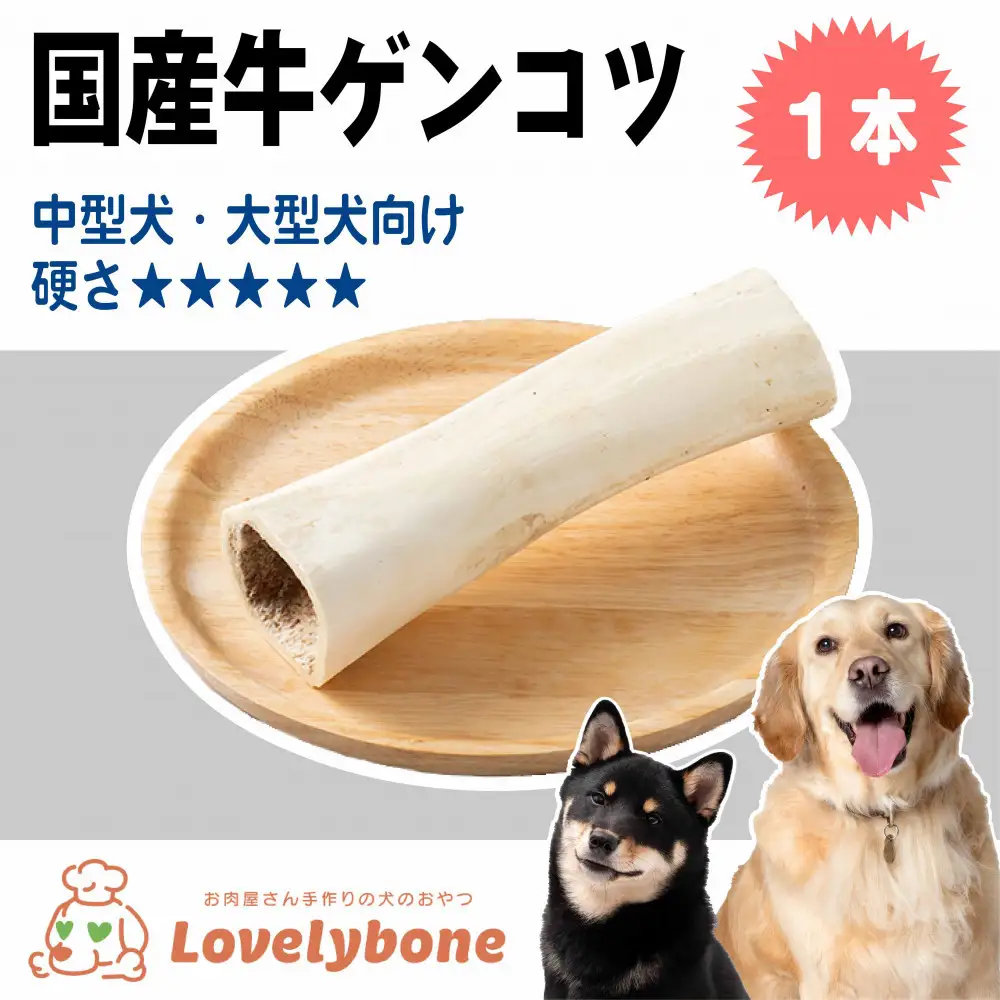 精肉店がこだわった 犬のおやつ【デンタル玩具としておすすめです！】国産牛ゲンコツ 1本 無添加 手作り　Lovelybone