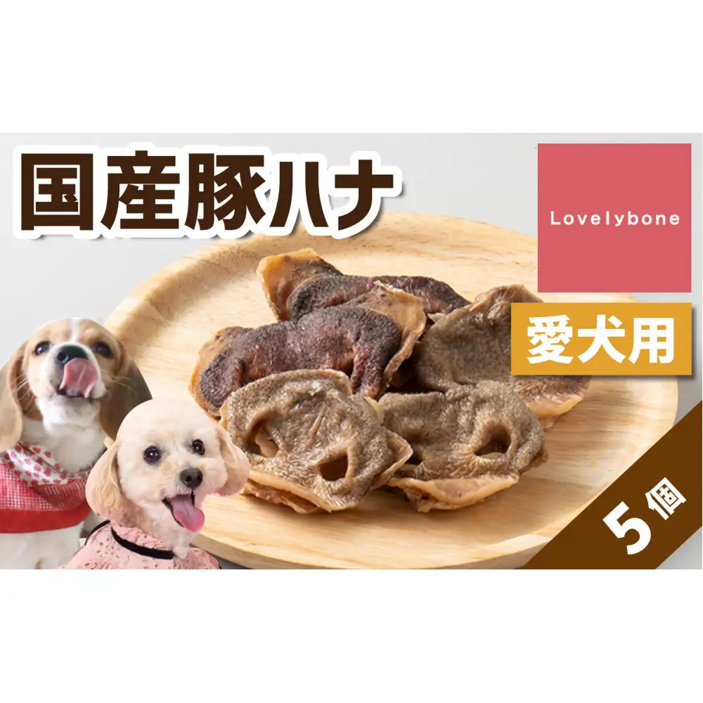 精肉店がこだわった　犬のおやつ【一頭に一つだけの超希少部位】国産豚ハナ　5個　無添加 お肉屋さん　手作り　犬のおやつ　Lovelybone