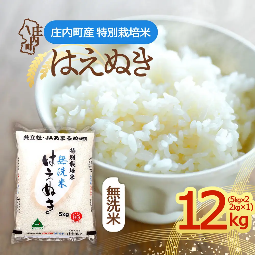 【令和8年産】特別栽培米 はえぬき 無洗米 12kg 5kg×2袋 2kg×1袋 庄内町産 余目産 余目町農協 あまるめ ブランド米 米 国産 単一原料米 山形 庄内平野