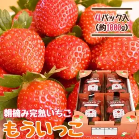 山元いちご農園 朝採りいちご もういっこ 1.0kg(250g×4パック)【配送不可地域：離島・沖縄県・九州】【1475586】