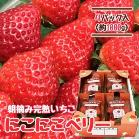 山元いちご農園 朝採りいちご にこにこベリー 1.0kg(250g×4パック)【配送不可地域：離島・沖縄県・九州】【1475588】