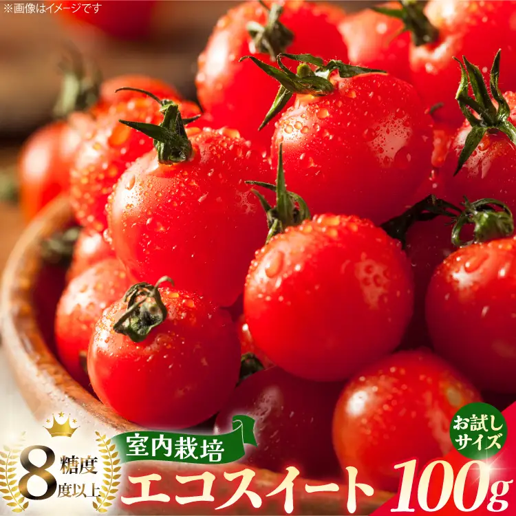 ミニ トマト 100g
