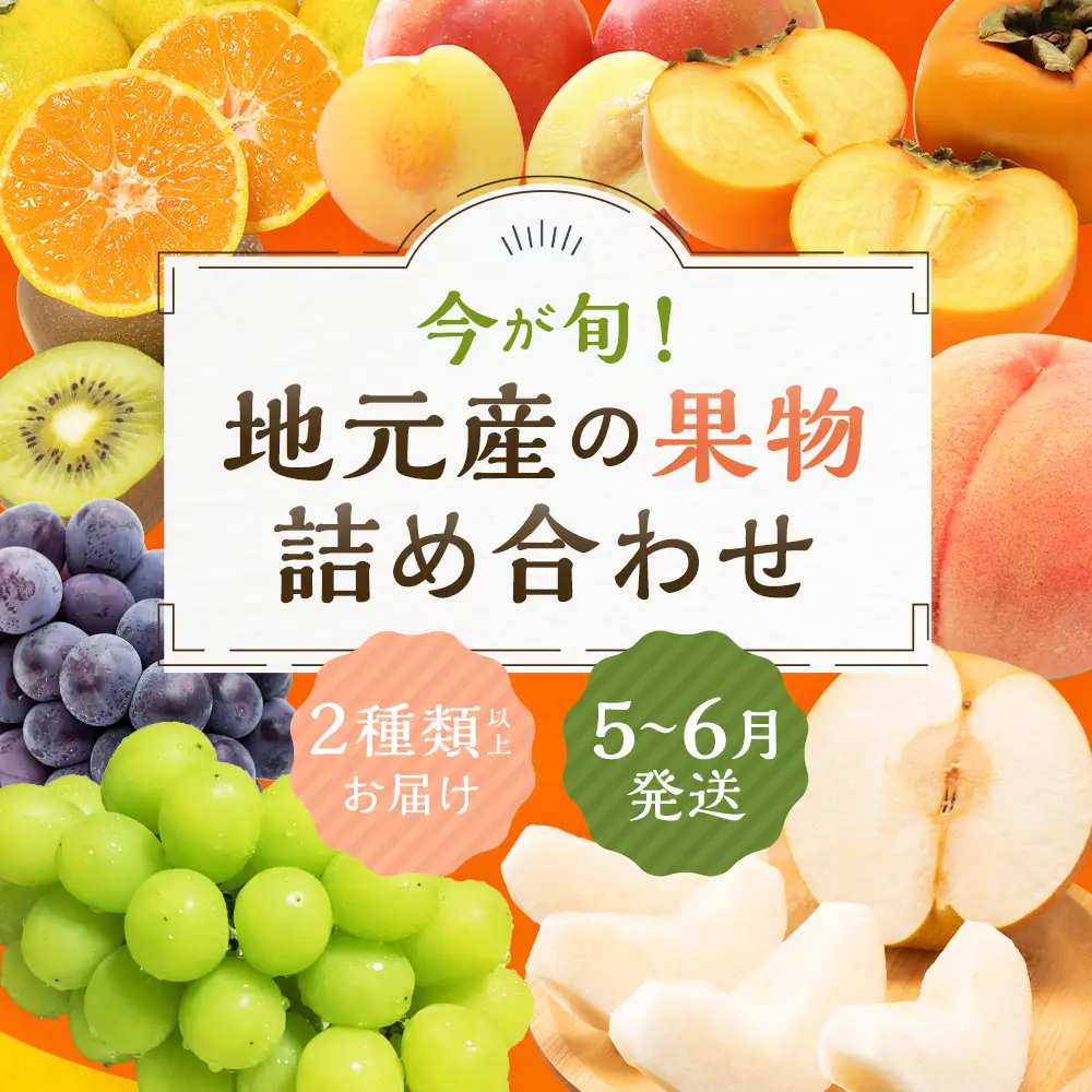 【5月～6月発送】 旬の果物 詰め合わせ セット 福岡県産 フルーツ 季節 果物