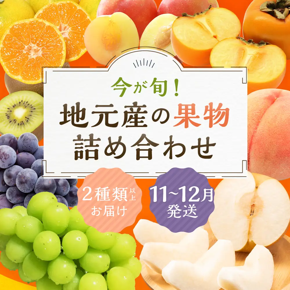 【11月～12月発送】 旬の果物 詰め合わせ セット 福岡県産 フルーツ 季節 果物