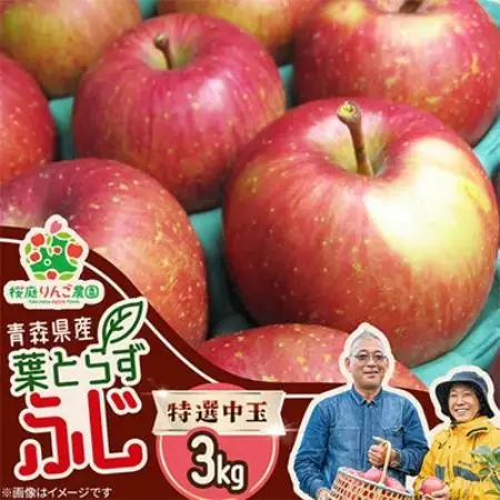 葉とらずふじ特選中玉3kg【1789776】