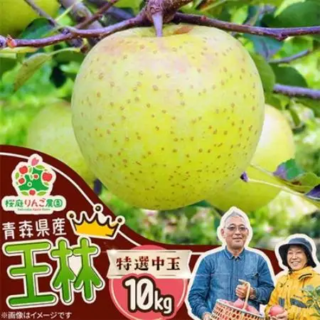 王林特選中玉10kg【1789781】
