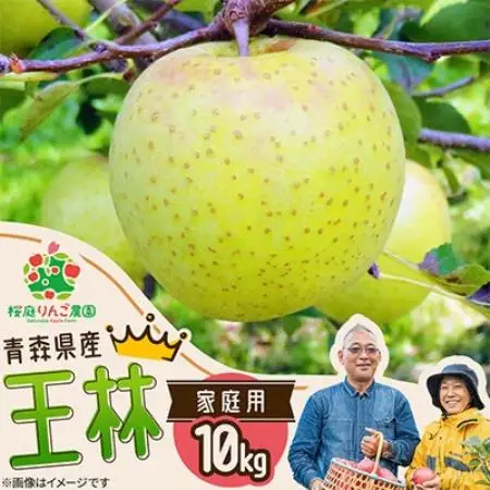 王林家庭用10kg【1789786】