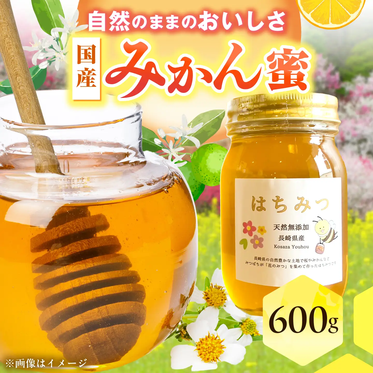 みかん蜜600g はちみつ / 蜂蜜 ハチミツ はちみつ みかん蜜 / 大村市