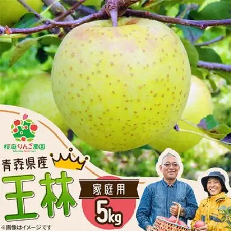 王林家庭用5kg【1789788】