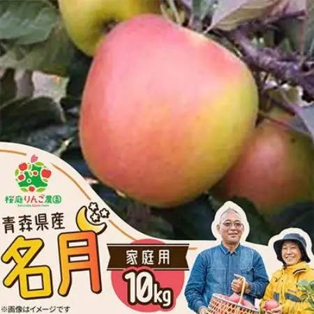 名月家庭用10kg【1789795】