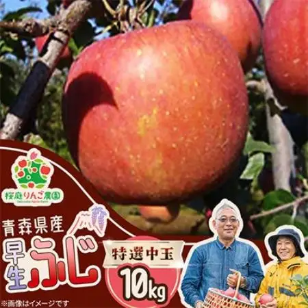 早生ふじ特選中玉10kg【1789806】