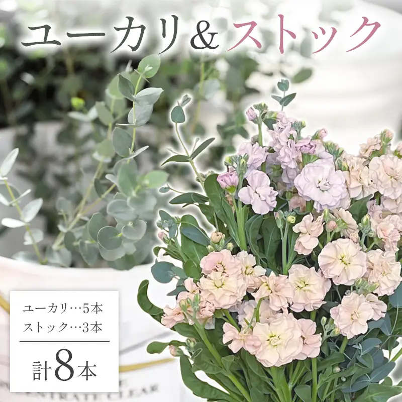 【2026年11月に順次発送】ユーカリ5本＆ストック3本 F2Y-7080
