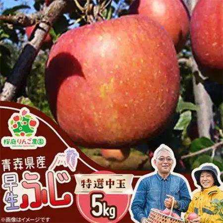 早生ふじ特選中玉5kg【1789808】