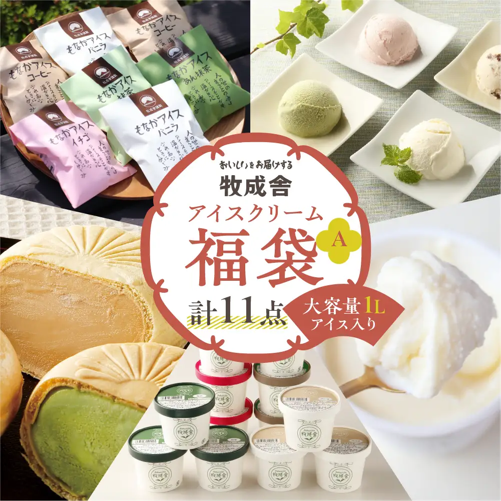 飛騨 ミルクの旨味たっぷり アイスクリーム 福袋 [Q123] アイス