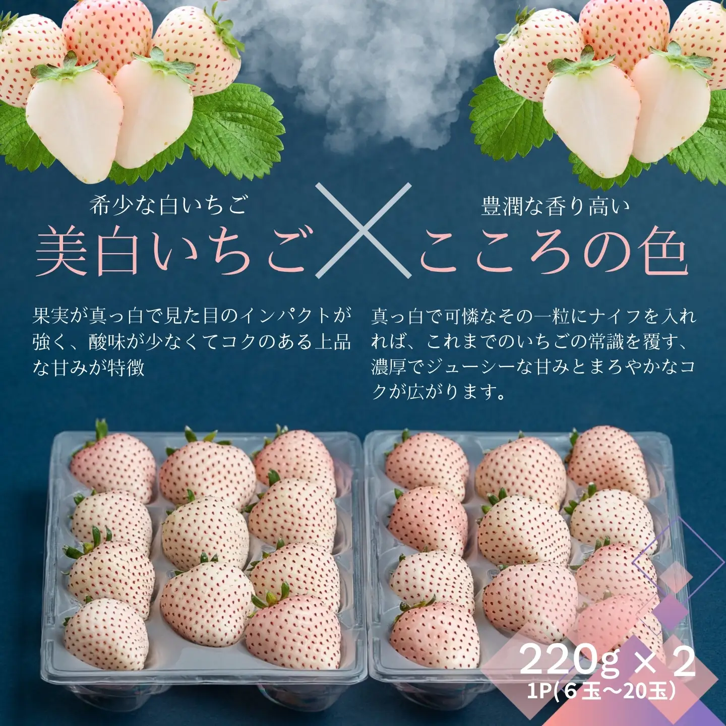 【先行受付！2027年1月から発送開始】佐賀県産いちご　美白いちご&こころの色　白いちごセット：B190-058