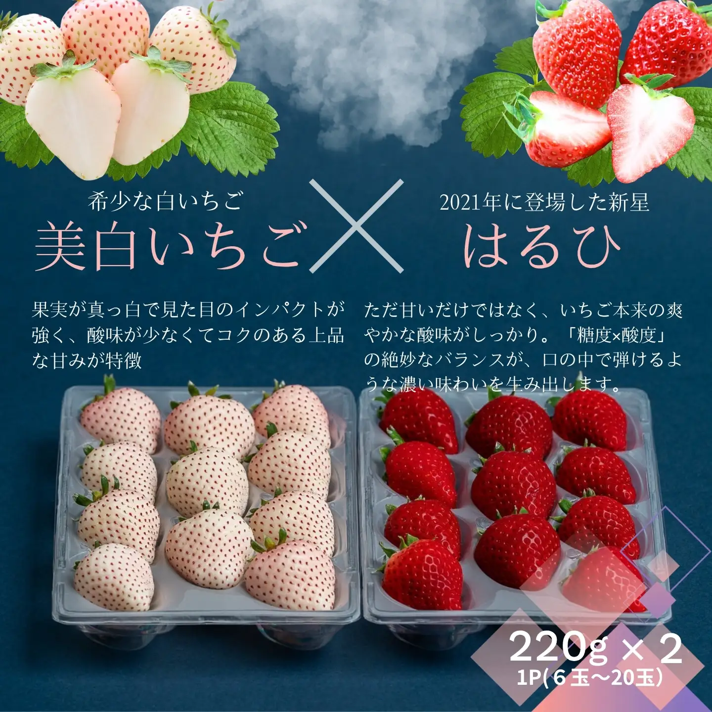 【先行受付！2027年1月から発送開始】佐賀県産いちご　美白いちご&はるひ　紅白セット：B140-131