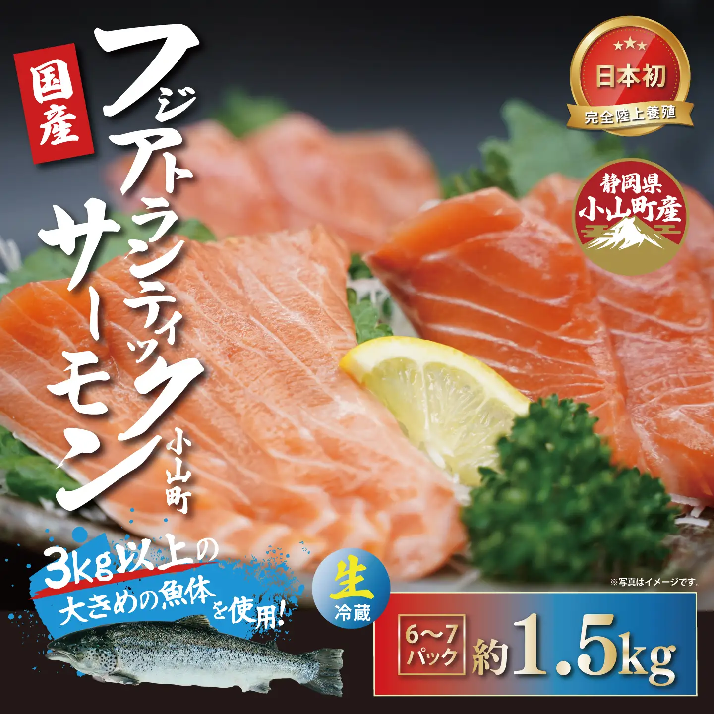 サーモン 約1.5kg（魚体大きめ） 小分け 6～7P 国産サーモン