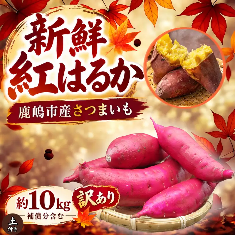 さつまいも 訳あり 紅はるか 約10kg 【さつまいも】