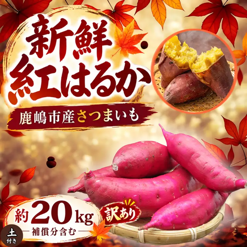 さつまいも 訳あり 紅はるか 約20kg 【さつまいも】