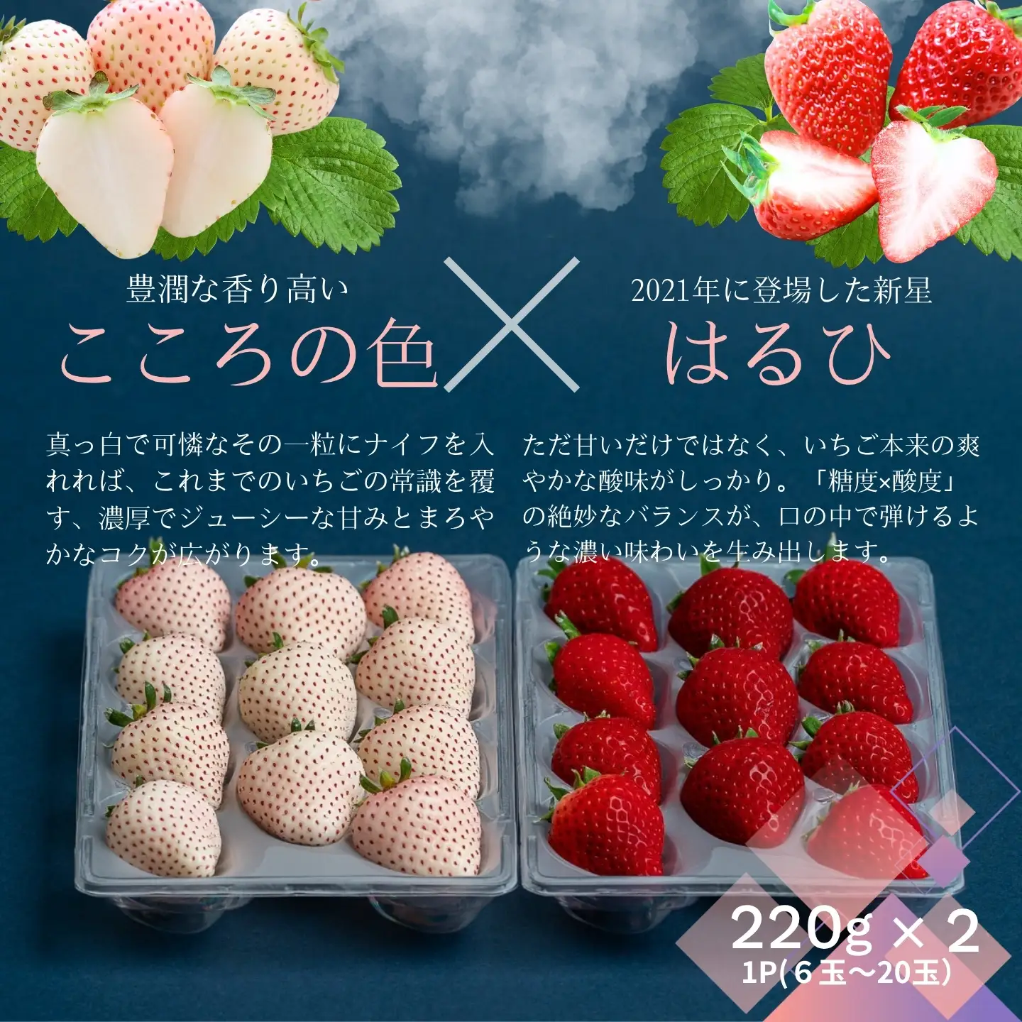 【先行受付！2027年1月から発送開始】佐賀県産いちご　こころの色&はるひ　紅白セット：B140-133