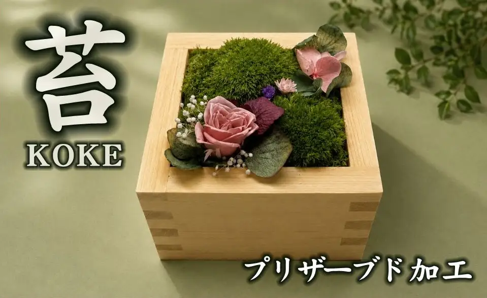 升コケ‐大‐(インテリア グリーン 観葉 植物苔 こけ コケ)【002426】
