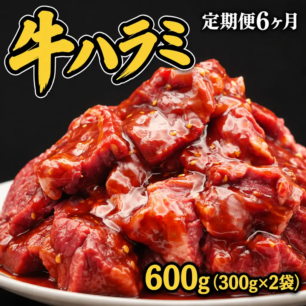 【定期便】牛ハラミ タレ漬け600g（300g×2袋）×6ヶ月 mok17
