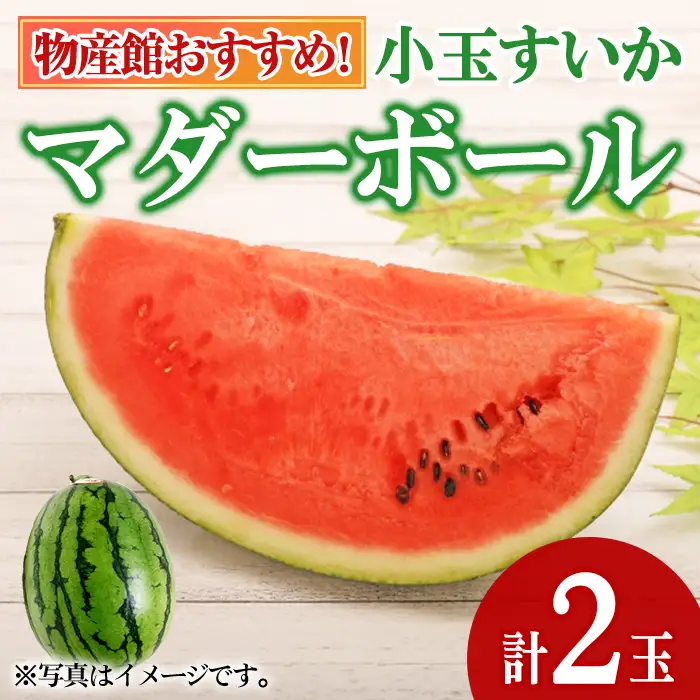 【0075941a】《先行予約受付中！2027年5月以降発送》物産館おススメ！東串良町産小玉スイカ(マダーボール)(2玉) スイカ 小玉 小玉スイカ 小玉すいか すいか 西瓜 果物 フルーツ マダーボール 【東串良物産館ルピノンの里】