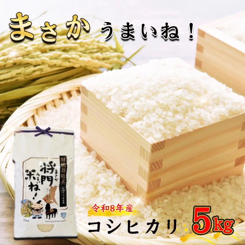 【令和8年産】将門米ね！（まさかうまいね！） コシヒカリ5kg ／ コシヒカリ 令和8年産 新米 白米 精米 5kg お米 ごはん おいしいお米 農薬低減 化学肥料低減 土づくり 国産米 毎日の食卓 将門米 No.928