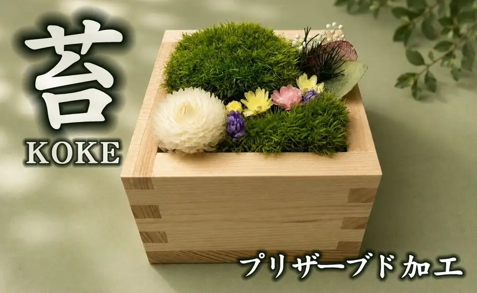 升コケ‐中‐(インテリア グリーン 観葉 植物苔 こけ コケ)【002427】
