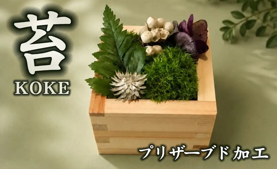 升コケ‐小‐(インテリア グリーン 観葉 植物苔 こけ コケ)【002428】