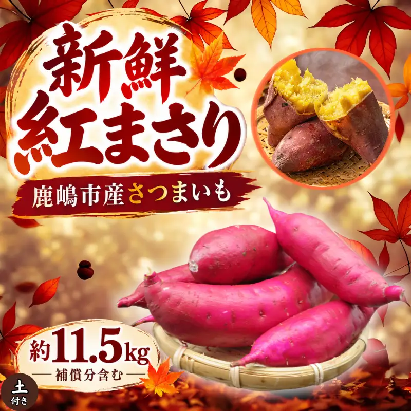 さつまいも 紅まさり 約11.5kg 【さつまいも】