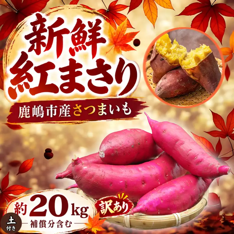 さつまいも 訳あり 紅まさり 約20kg 【さつまいも】 | 茨城県鹿嶋市