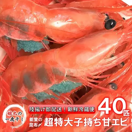 【 2027年1月~6月発送 】 子持ち甘エビ40匹丸ごと昆布〆 甘エビ
