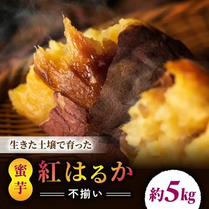 【不揃い】生きた土壌で育った『蜜芋 紅はるか 5kg』｜里山JAPAN さつまいも