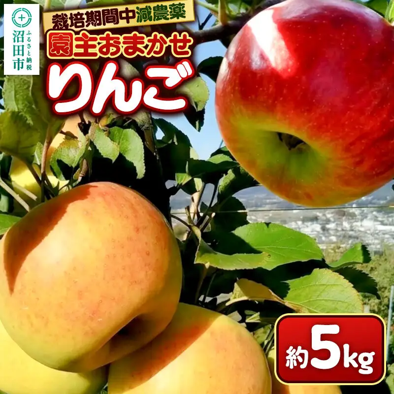 りんご 5kg 園主おまかせ 果樹園マンサーナ