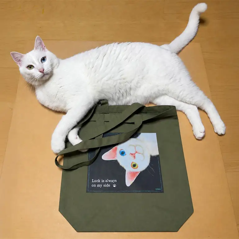 猫トートバッグ RIKA 愛猫 オッドアイ オリジナルイラストプレゼント ギフト カーキ ブラック かわいい 可愛い オシャレ おしゃれ お祝い 誕生日 ねこ ネコ 雑貨 ３６E