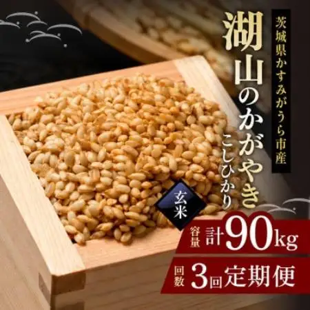 【毎月定期便】コシヒカリ 玄米30kg 湖山のかがやき | 茨城県かすみがうら市全3回【4094397】
