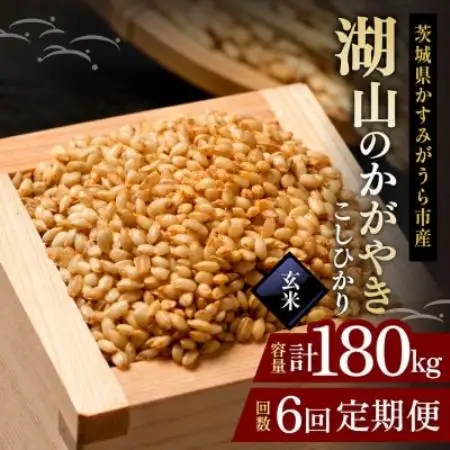 【毎月定期便】コシヒカリ 玄米30kg 湖山のかがやき | 茨城県かすみがうら市全6回【4094398】