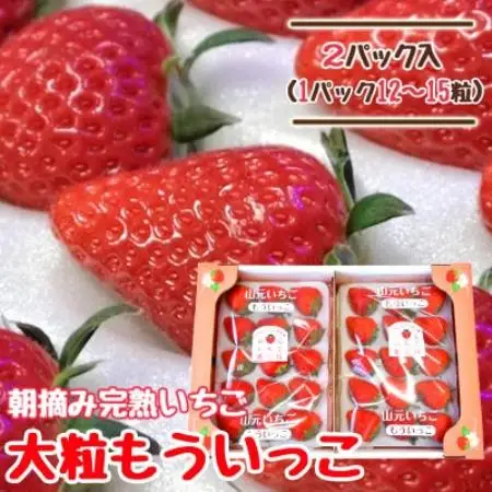 山元いちご農園 朝採りいちご もういっこ 大粒12～15粒×2パック【配送不可地域：離島・沖縄県・九州】【1475583】