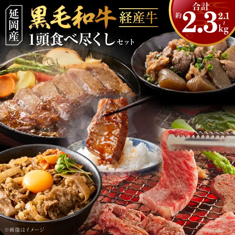 延岡産黒毛和牛(経産牛)1頭食べ尽くしセット N0221-YD0275