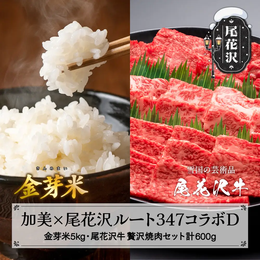 【加美×尾花沢 ルート347コラボD】栄養と旨みの金芽米5kg×極上の旨み尾花沢牛 A4-5 贅沢焼肉セット モモ カルビ カタ・ウデ 各200g 計600g njkm-zys600knm05