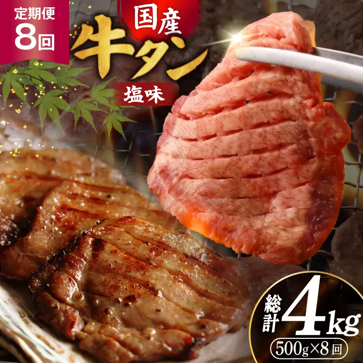定期便 8回 牛タン 厚切り牛タン 希少部位 国産 塩味 500g 3～4人前