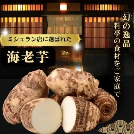 【ミシュラン店が採用】極み海老芋(えびいも)　2kg(孫芋)【1787989】