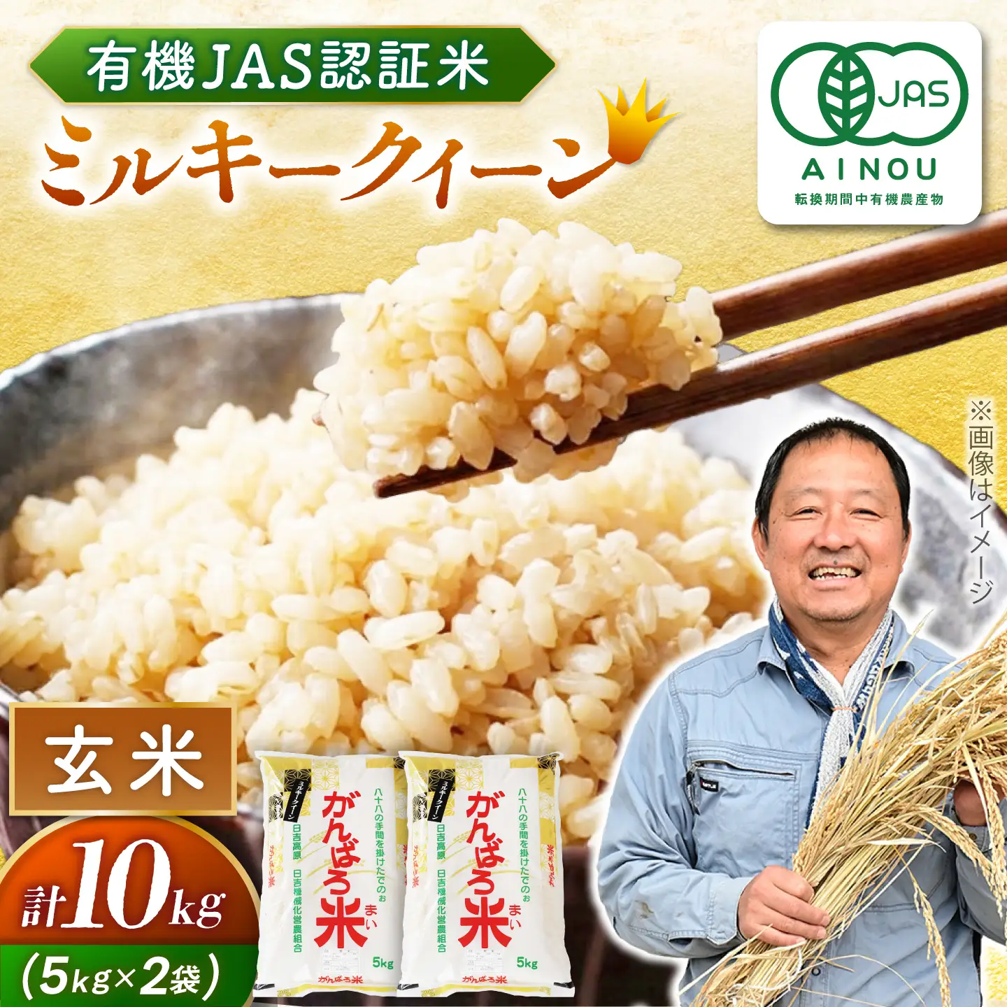 【令和8年産】玄米 10kg [AZBW011] 玄米