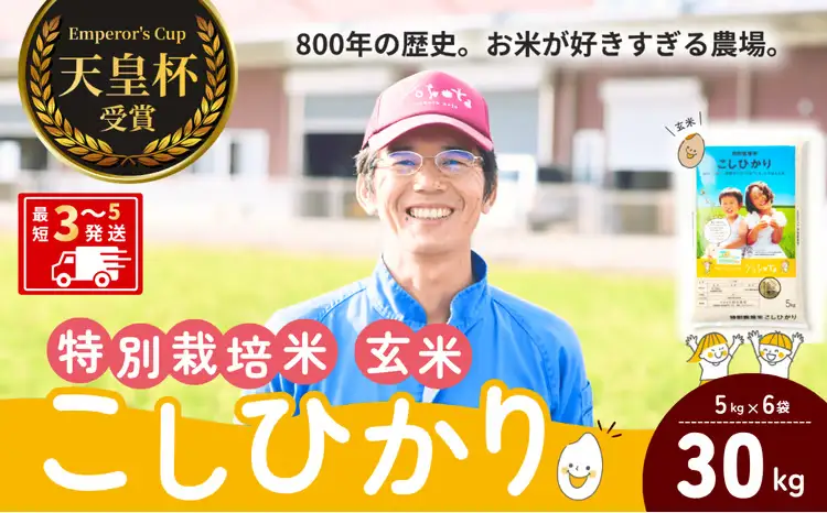【令和8年度産】コシヒカリ 特別栽培米 玄米 30kg 天皇杯受賞！横田農場のこしひかり 茨城県 龍ケ崎市