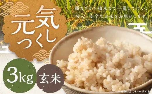 元気つくし 3kg 玄米 お米 米 こめ コメ 飯 ご飯 おにぎり 国産 福岡県産
