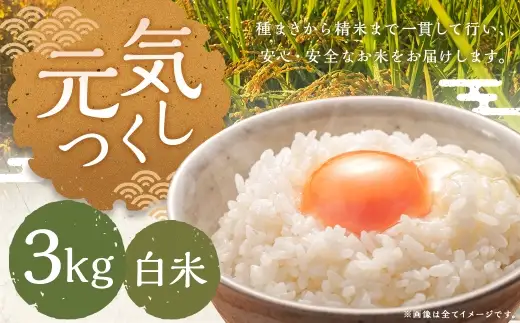 元気つくし 3kg 白米 お米 米 こめ コメ 白飯 飯 ご飯 おにぎり 国産 福岡県産